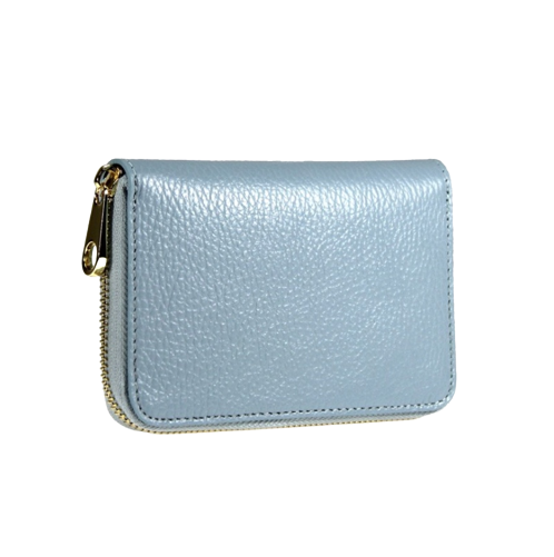 Business Card Case Blue